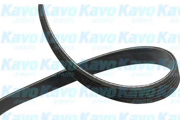 KAVO PARTS DMV9093 Поликлиновой ремень