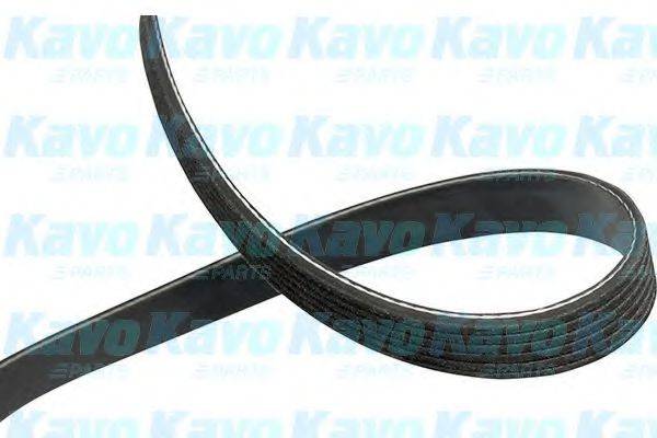 KAVO PARTS DMV3050 Поликлиновой ремень