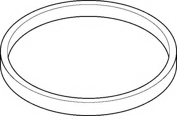 WILMINK GROUP WG1195575 Прокладка, корпус впускного коллектора